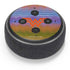 Wonder Woman 1984 (2020) Rainbow Chevron Logo Amazon Echo Dot Skin