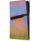 Wonder Woman 1984 (2020) Rainbow Chevron Logo PS5 Pro Console Skin