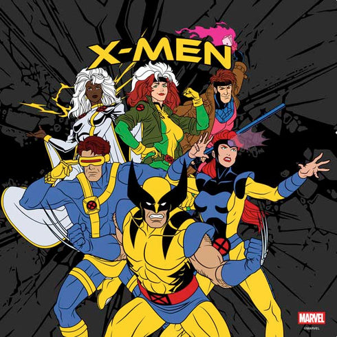 Marvel X-Men Group PS4 Console Skin