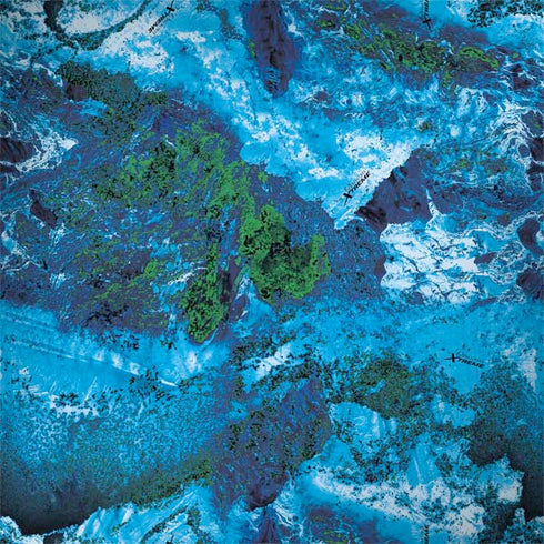 RealTree Xtreme Blue Camo MacBook Skins