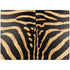 Zebra Surface Laptop 7 13.8in Skin