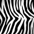 Zebra Print Dell Latitude Skin