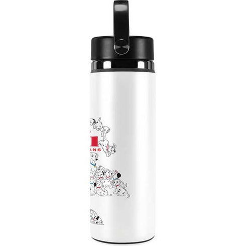 Disney 101 Dalmatians Family Hydro Flask 20oz Wide Mouth Skin