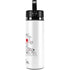 Disney 101 Dalmatians Family Hydro Flask 20oz Wide Mouth Skin
