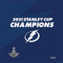 NHL 2021 Stanley Cup Champions Tampa Bay Lightning Nintendo 2DS XL (2017) Skin