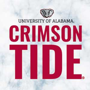 University of Alabama Crimson Tide Net Xbox Adaptive Controller Skin