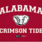 University of Alabama Crimson Tide Basketball Yoga 710 14in Skin