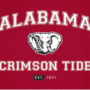 University of Alabama Crimson Tide Basketball Pixelbook Skin