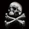 Alchemy Carta Blackbloods Bones Surface Laptop 2 Skin