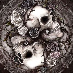 Alchemy Carta Dioscuri Skullcandy Venue Skin