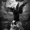 Alchemy Nine Lives of Poe Studio Wireless Skin