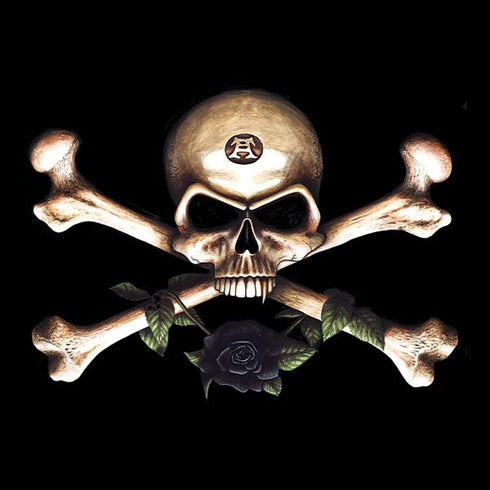 Alchemy Skull and Crossbones Universal Laptop 14in (11.4 x 8.2in) Skin