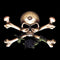 Alchemy Skull and Crossbones Nintendo 2DS XL (2017) Skin