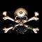 Alchemy Skull and Crossbones Universal Laptop 11in (8.8 x 6.2in) Skin