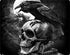 Alchemy Carta Poes Raven iPhone XS Clear Case