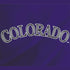 MLB Colorado Rockies Alternate/Away Jersey Xbox Series X Bundle Skin