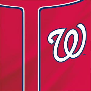 MLB Washington Nationals Alternate Jersey Playstation 3 & PS3 Skin