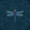 Mystical Dragonfly by Brigid Ashwood Beats Solo Pro Skin