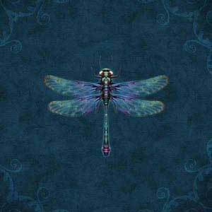 Brigid Ashwood Mystical Dragonfly DS Lite Skin