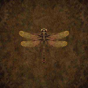 Brigid Ashwood Steampunk & Gear Dragonfly Surface Pro (2017) Skin