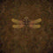 Brigid Ashwood Steampunk & Gear Dragonfly Surface Pro (2017) Skin