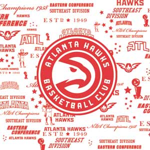 NBA Atlanta Hawks Blast Moto E5 Play Skin
