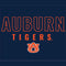 Auburn University Tigers Outline Nintendo 2DS XL (2017) Skin