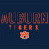 Auburn University Tigers Outline Xbox Series X Bundle Skin