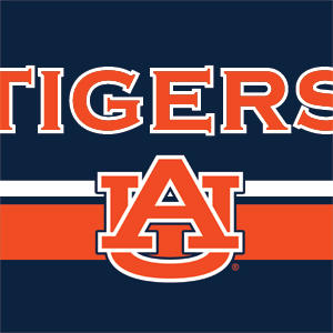 Auburn University Tigers AU Xbox 360 Slim (2010) Skin