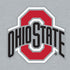 Ohio State University OSU Logo iPhone XS Clear Case