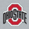 Ohio State University OSU Logo Wii (Includes 1 Controller) Skin