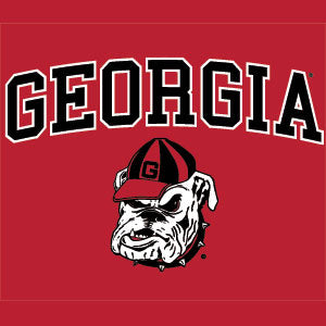 University of Georgia Bulldogs Asus X202 Skin