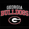 University of Georgia Bulldogs Wii U (Console + 1 Controller) Skin