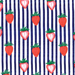 Bouffants and Broken Hearts Strawberries and Stripes Xbox Adaptive Controller Skin