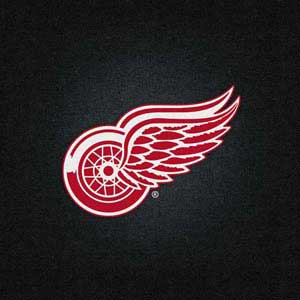 NHL Detroit Red Wings Black Background DS Lite Skin