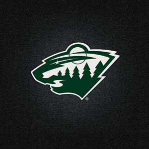 NHL Minnesota Wild Black Background 3DS XL 2015 Skin