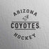 NHL Arizona Coyotes Black Text iPhone XS Clear Case