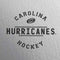 NHL Carolina Hurricanes Black Text iPhone Charger (5W USB) Skin