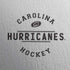 NHL Carolina Hurricanes Black Text iPhone XS Clear Case