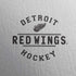 NHL Detroit Red Wings Black Text iPhone XS Clear Case