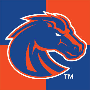 Boise State University Broncos Checkered Wii (Includes 1 Controller) Skin