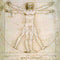 Leonardo da Vinci The Proportions of Man Surface Pro 6 Skin