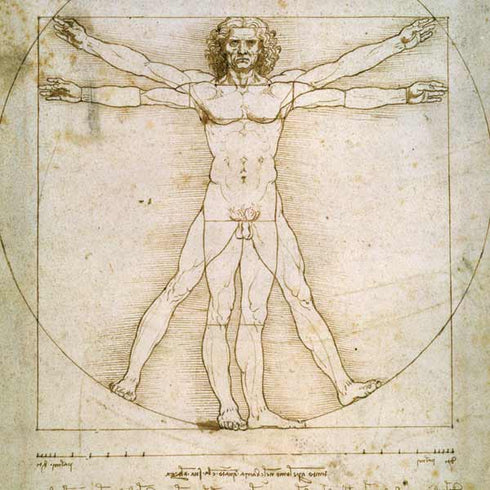 da Vinci - The Proportions of Man by Da Vinci Apple Pencil (1st Gen, 2017) Skin