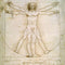 da Vinci - The Proportions of Man by Da Vinci Wii (Includes 1 Controller) Skin