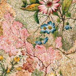 William Kilburn Marbled Paper Beats Solo 3 Wireless Skin