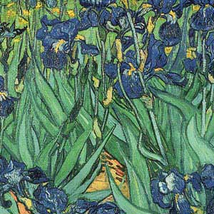 Vincent Van Gogh Irises Nintendo 2DS Skin