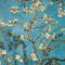 Vincent Van Gogh Almond Branches in Bloom Galaxy Book 12in Skin
