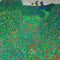 Gustav Klimt Poppy Field Yoga 710 14in Skin