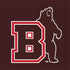 Brown University Bears Logo Xbox Series X Bundle Skin