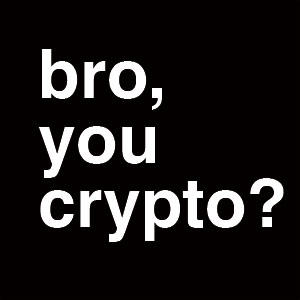 Bro You Crypto Studio Wireless Skin